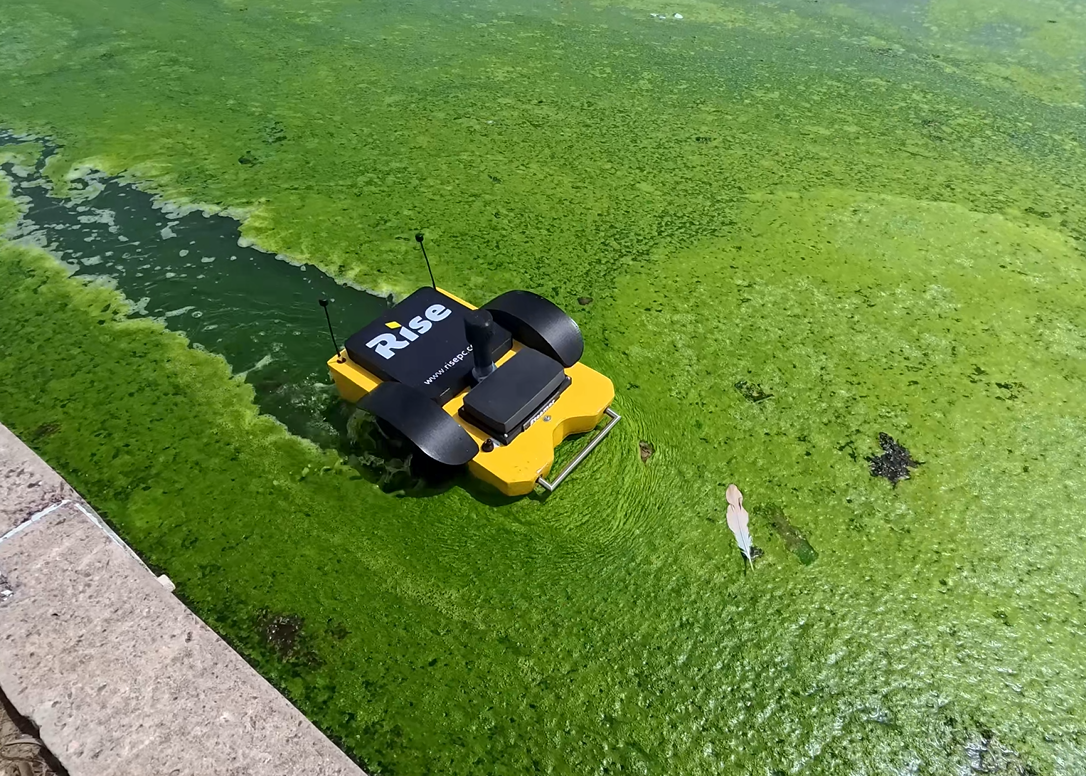 Rise PC's custom built USV cutting through tropical weed in waste water pond.