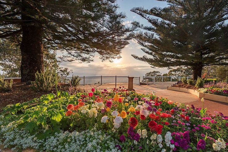 Colorful flower bed under tall trees at sunset, overlooking a calm waterfront promenade.