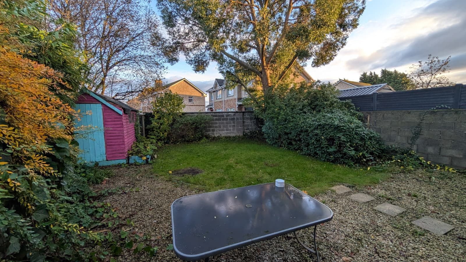 Backyard with a lawn, a colorful shed, a table, and surrounding trees. Houses visible in the background.