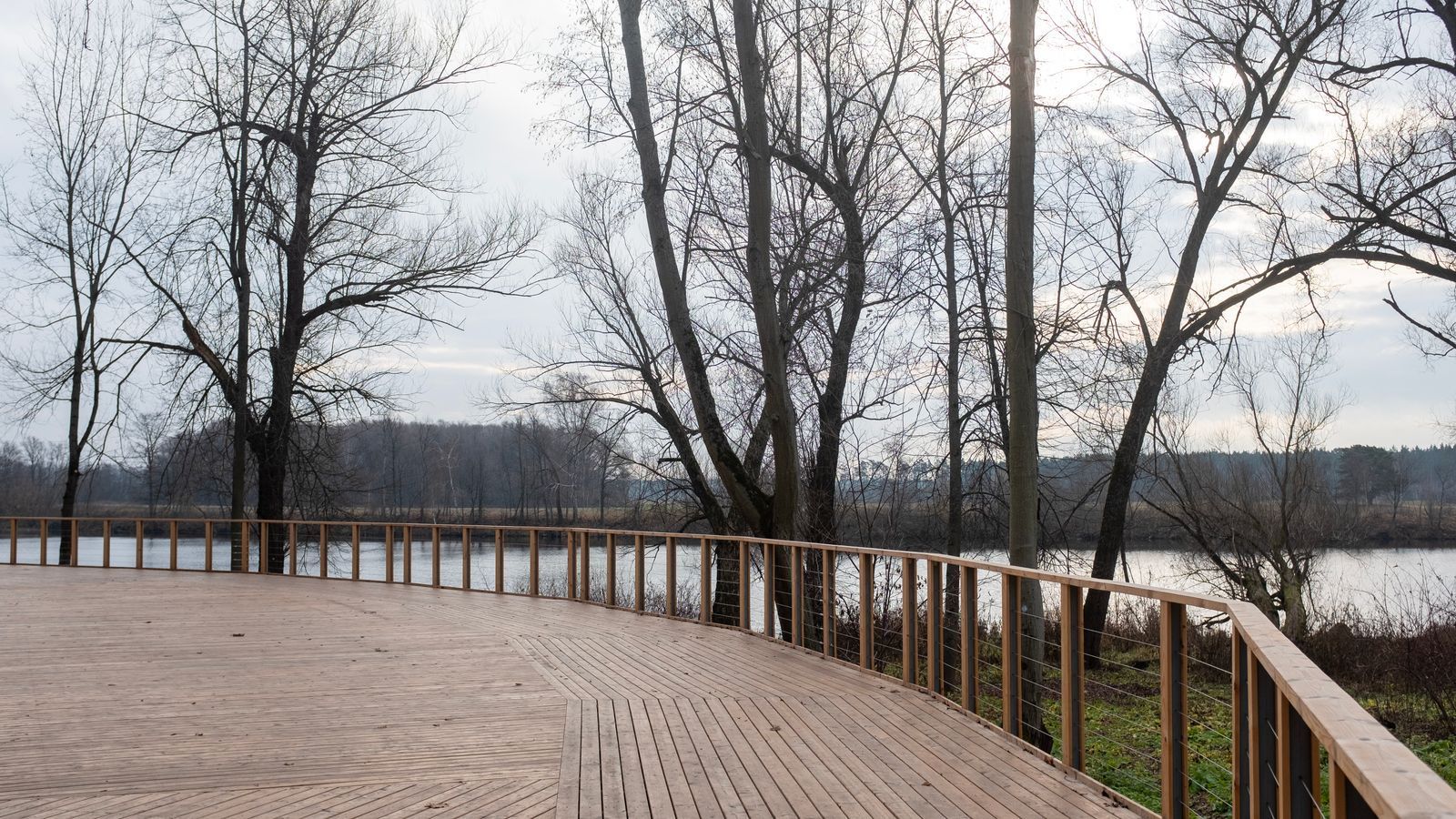 Elevated timber deck with railings following changing ground levels