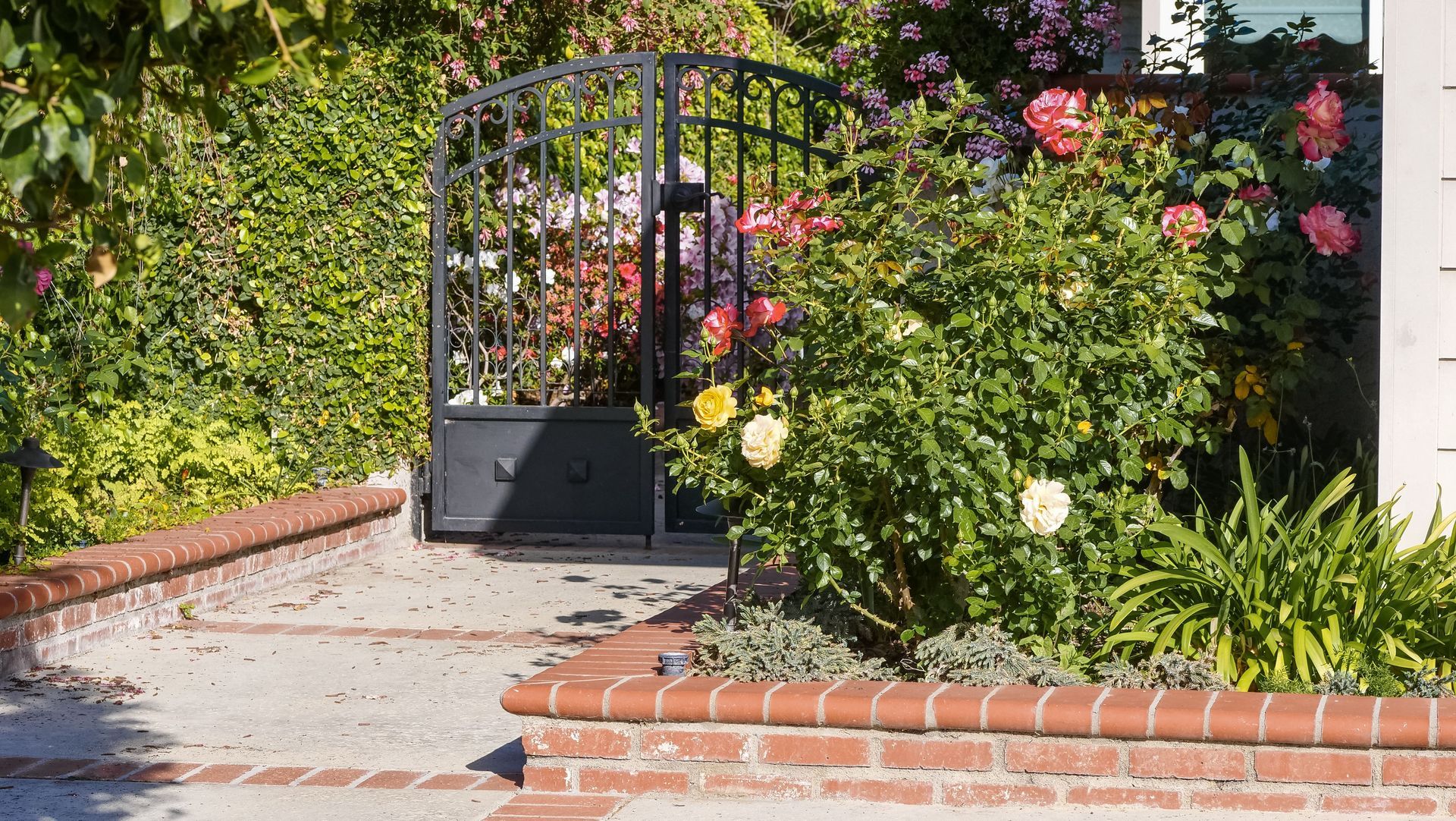 Front garden entrance with rose bushes, green shrubs and a brick-edged planting bed