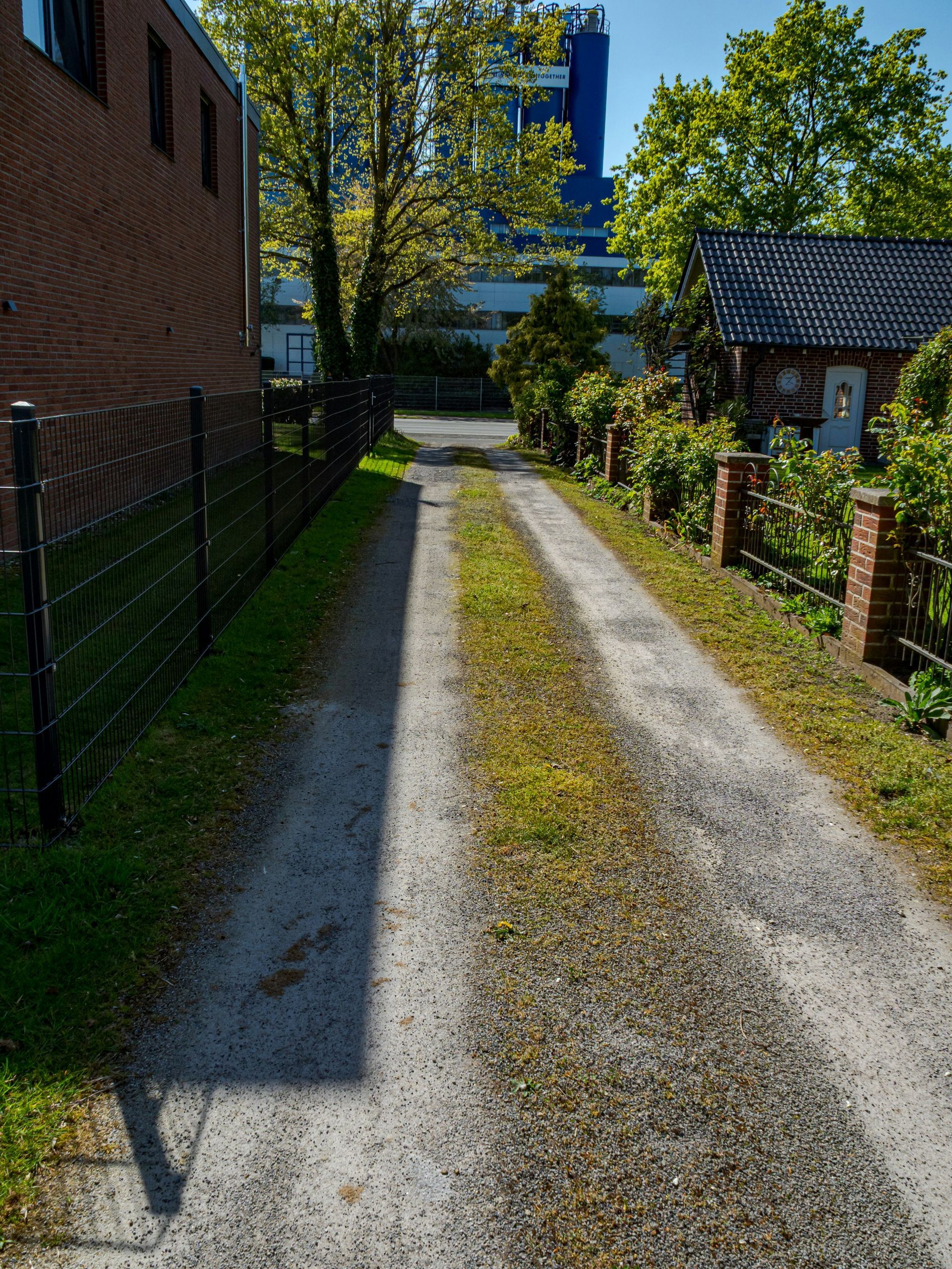 Residential gravel driveway bordered by green hedges and fencing