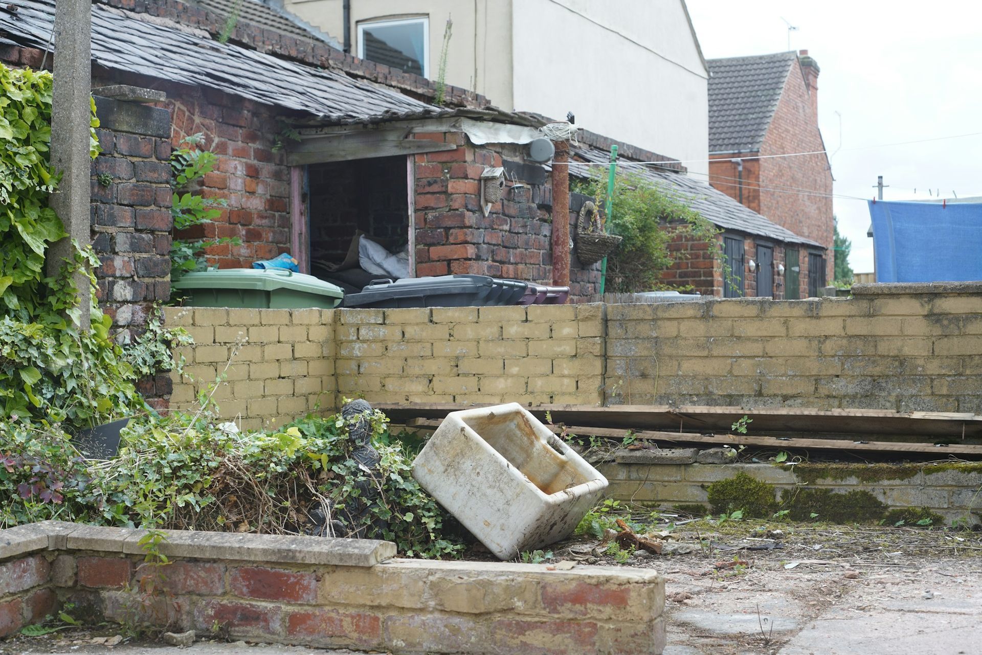 Overgrown neglected back garden with weeds, old brick walls and sheds