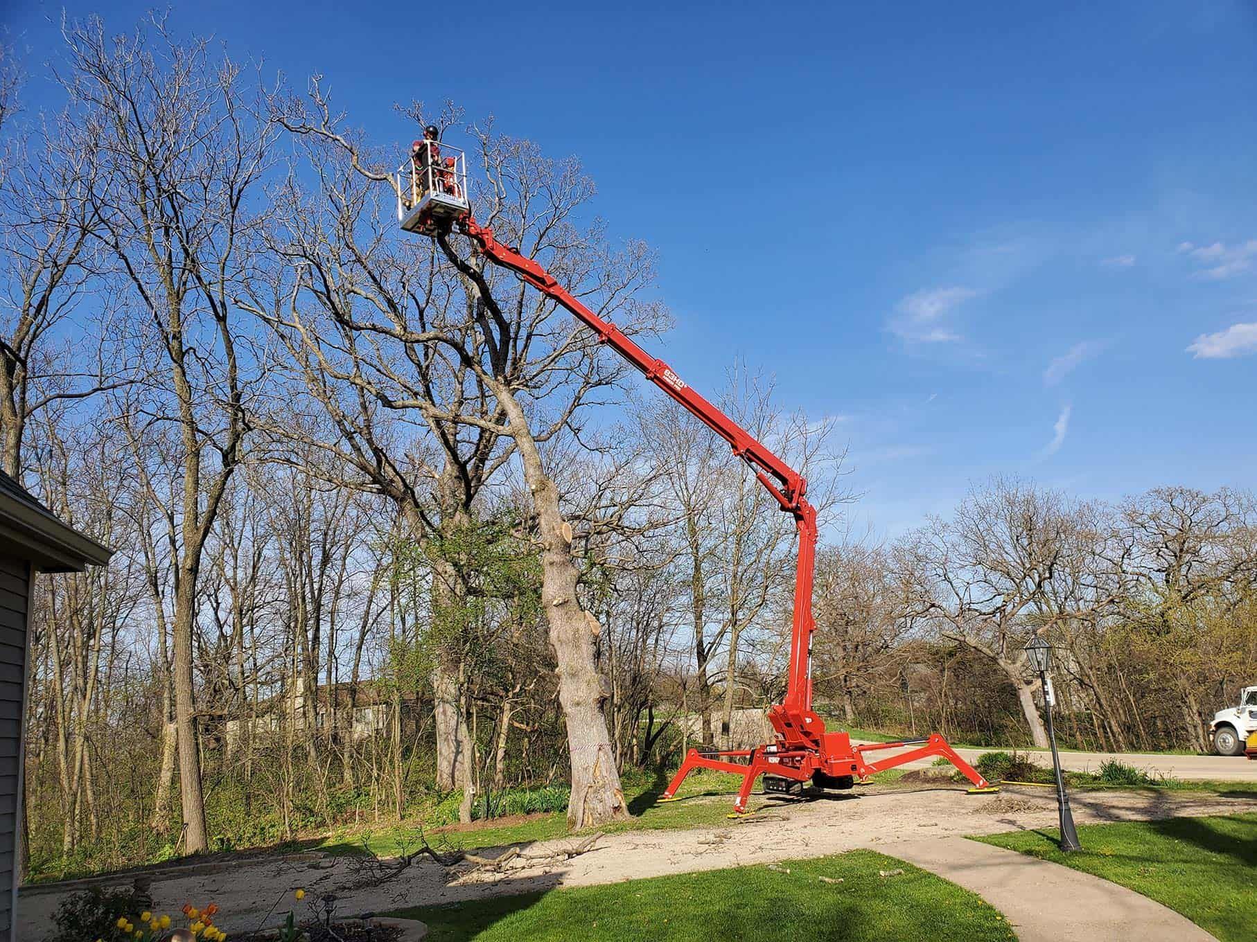 A man is cutting a tree with a crane in a yard.