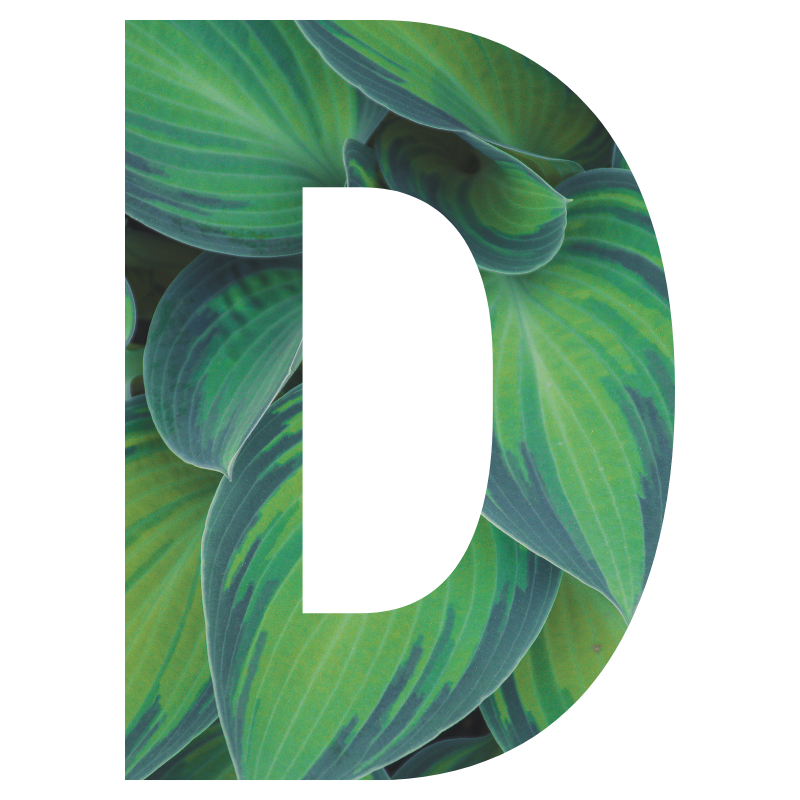 Large letter 