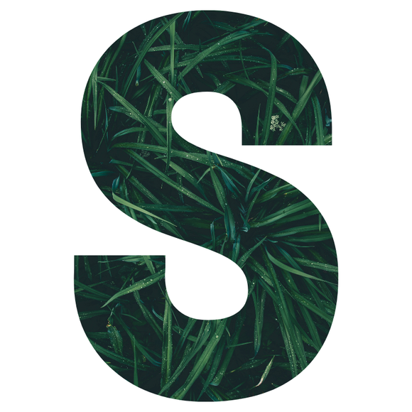 Large letter 