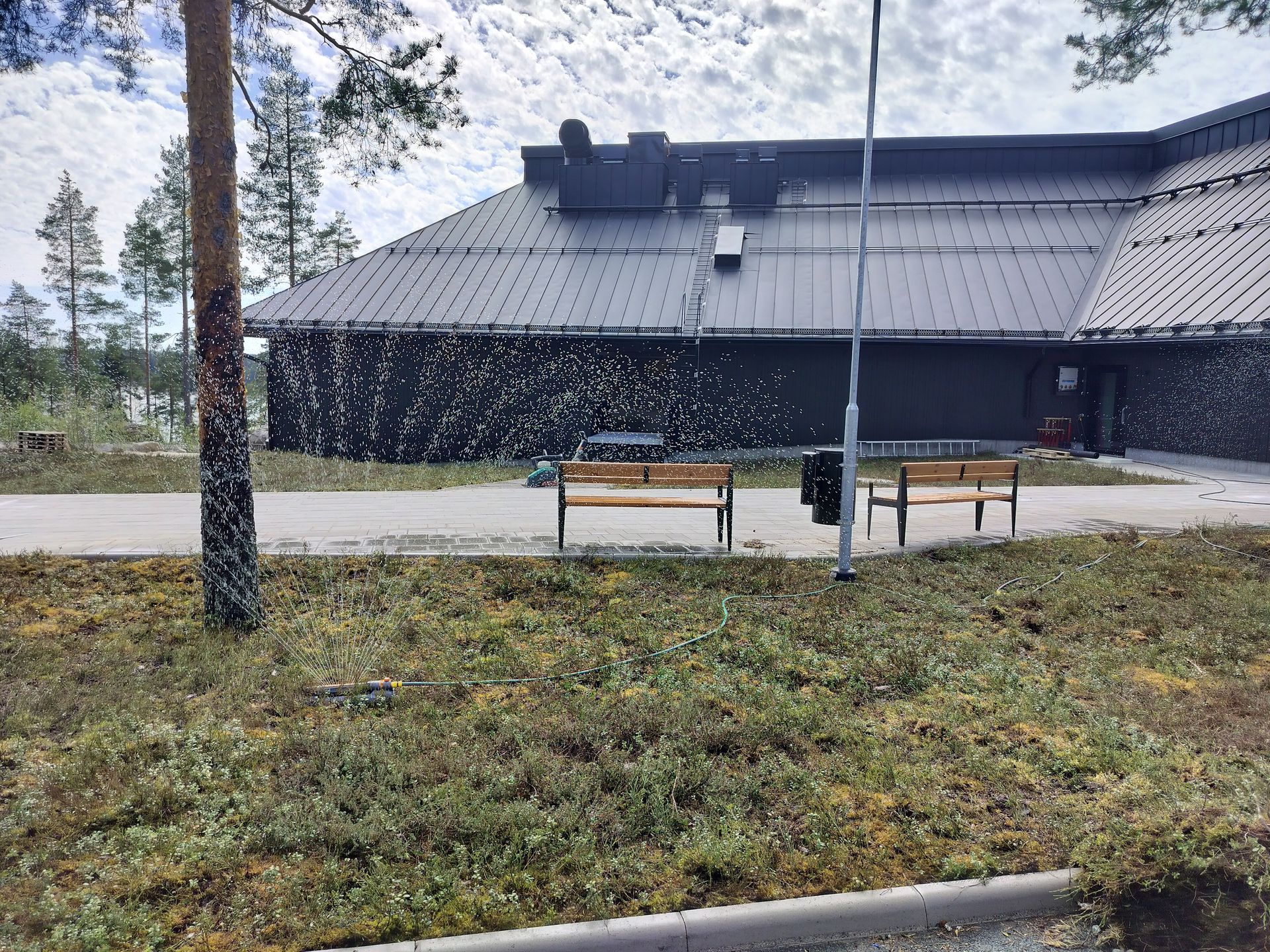 Vasta asennetun kuntan kastelua