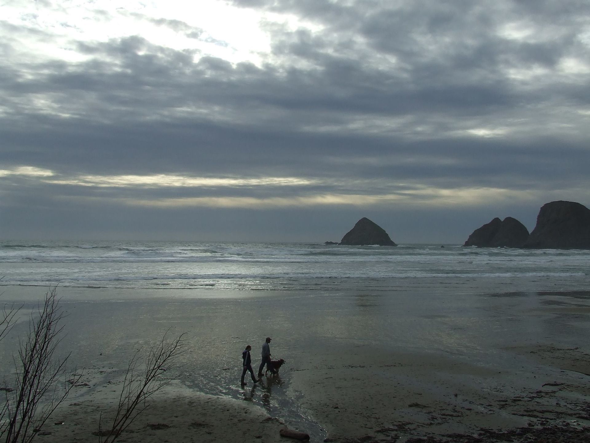 Oceanside Beach Rentals
