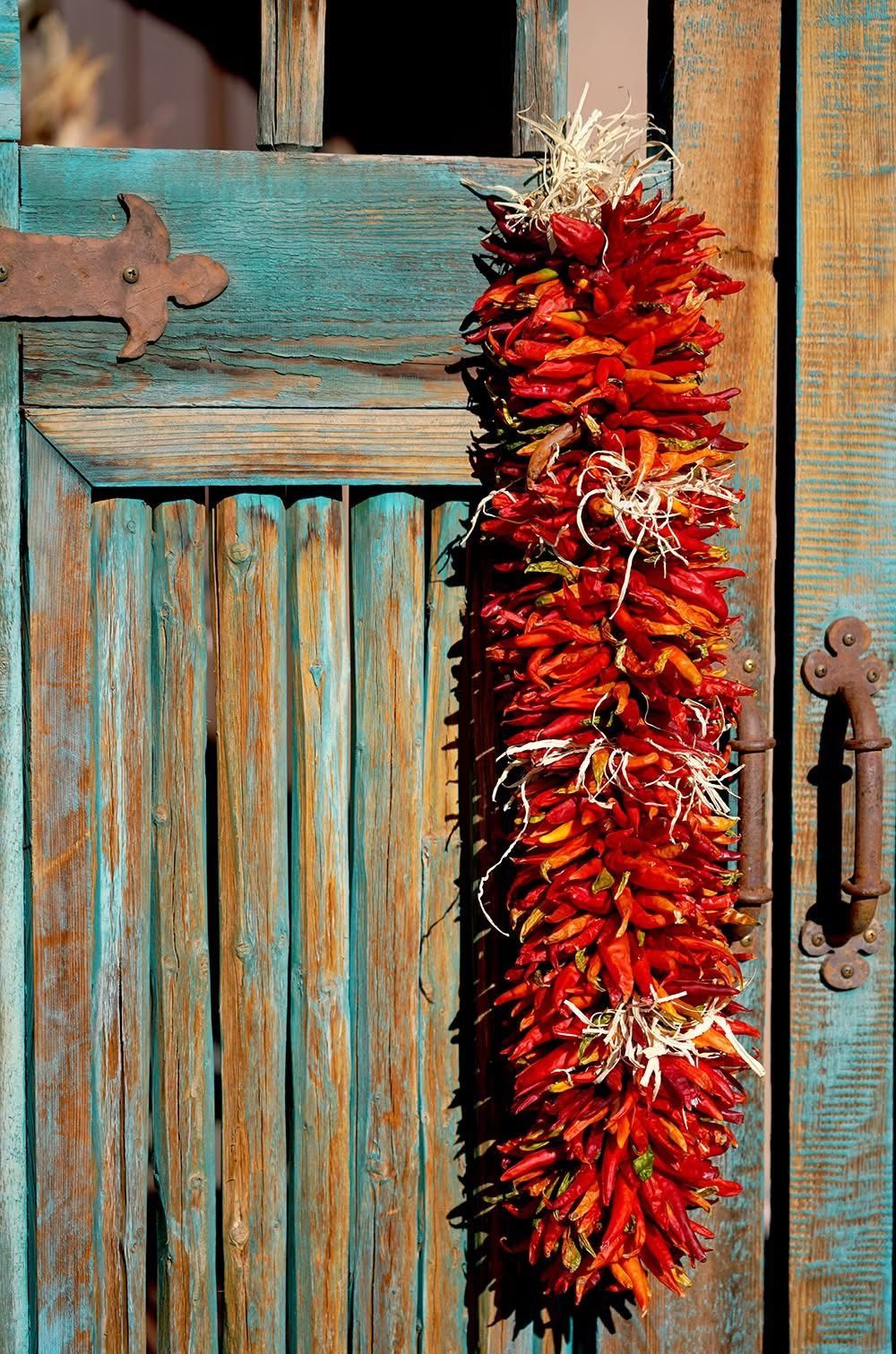 A bunch of red peppers hanging on a blue door