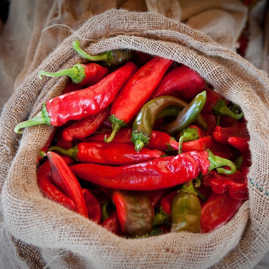 A bag filled with red peppers and green peppers