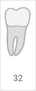 Tooth icon labeled 32