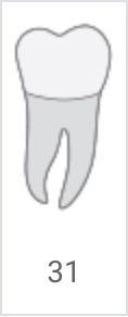 Tooth icon with number 31 beneath it