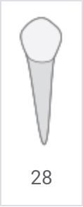 White golf tee icon with the number 28 below it