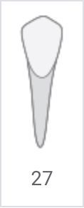 Tooth-shaped icon labeled 27 on a white background
