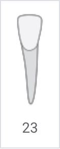 Number 23 beneath a gray, tapered dental tool icon on a white background