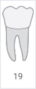 Tooth icon labeled 19