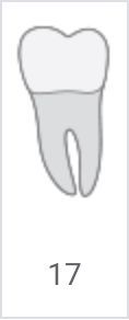 Gray tooth icon labeled 17 on a white background
