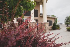 Pink shrubs beside a building entrance with stone columns and a driveway under cloudy skies