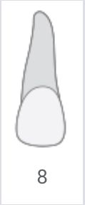 White tooth illustration labeled 8 on a plain background