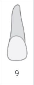 Gray nail illustration with a rounded white tip and the number 9 below