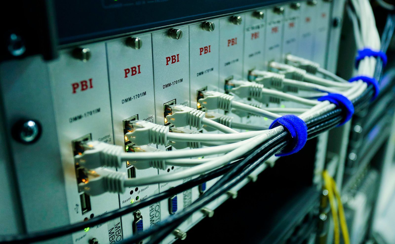 Network cables plugged into a row of server ports in a data center