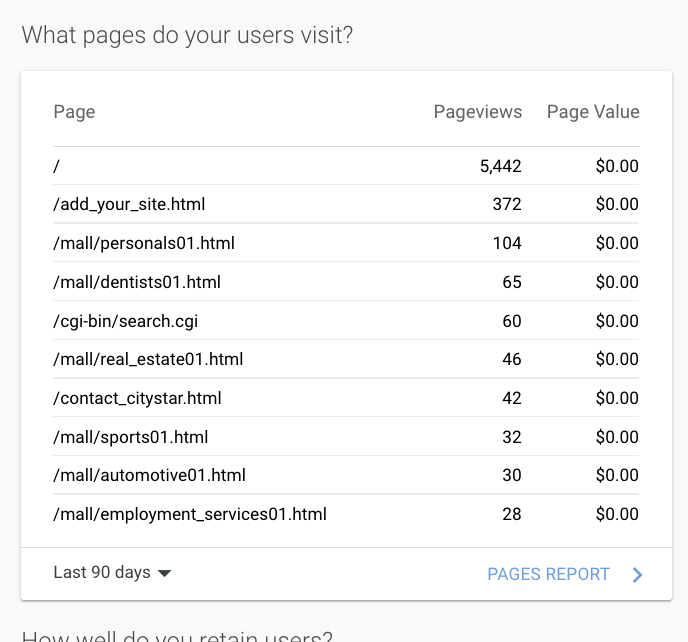 Analytics table of page visits, with “/” leading pageviews and a Pages Report link at bottom right