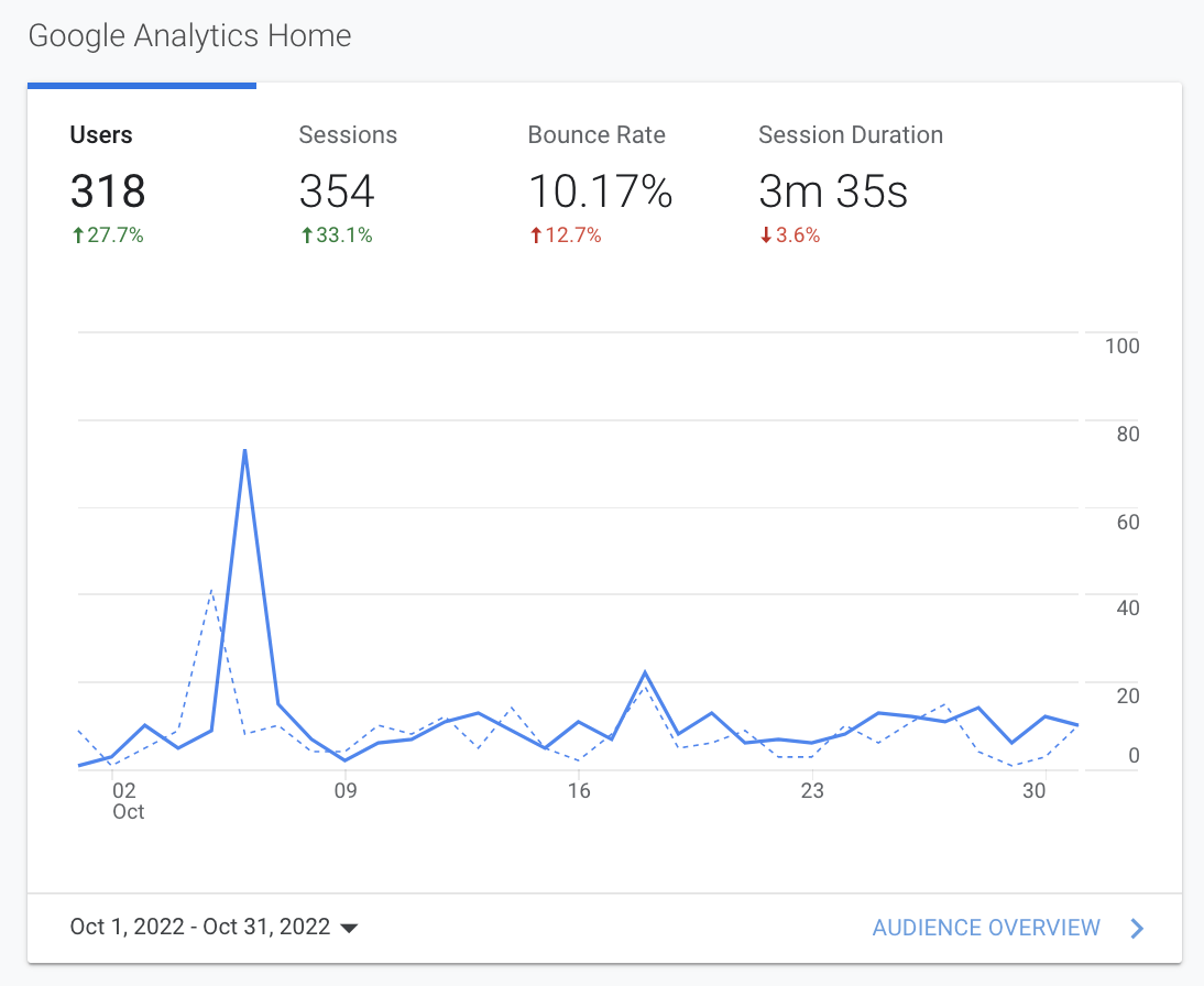 Google Analytics dashboard showing 318 users and a blue line graph with a sharp spike, 10.17% bounce rate, 3m35s avg session