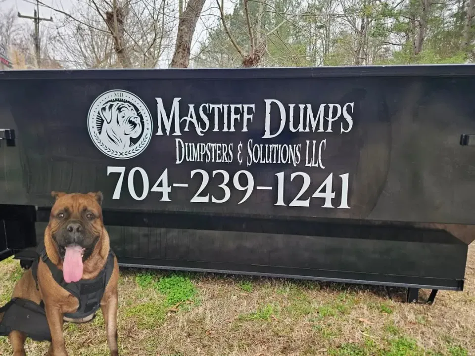 A dog is standing in front of a dumpster.