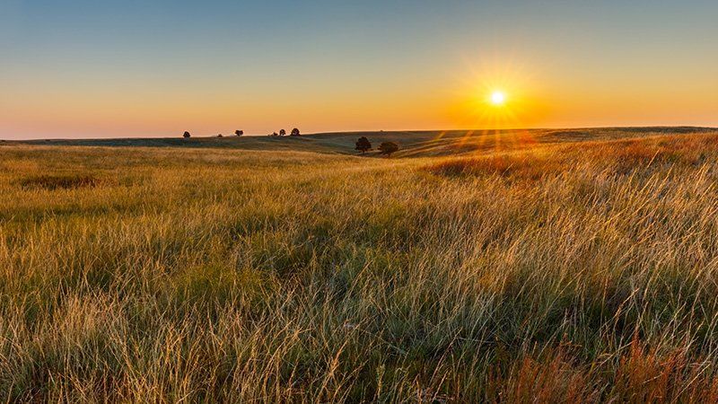 Sun rising above farmland
