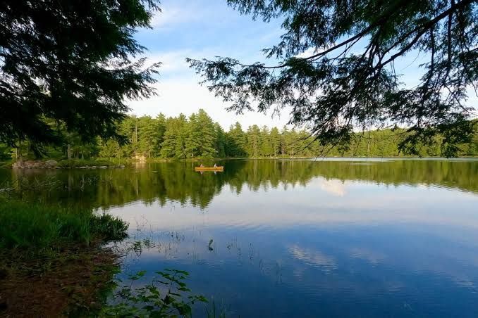 Calm lake reflecting blue sky and trees, framed by overhanging branches and green shoreline