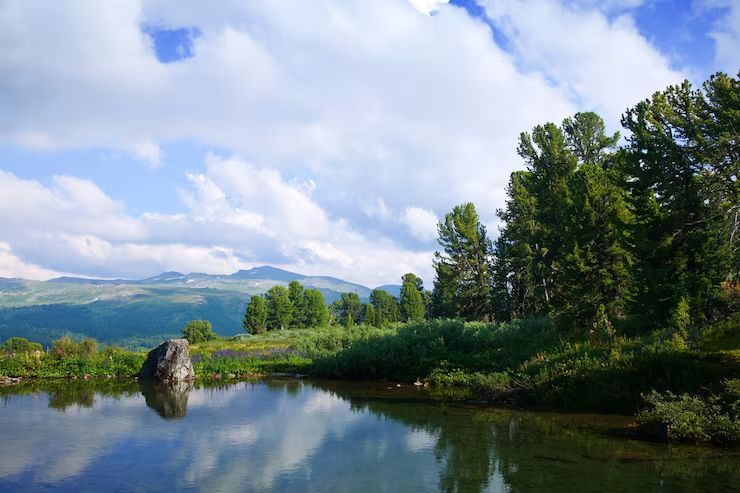 Scenic mountain lake with reflected trees, blue sky, clouds, and a rocky shore