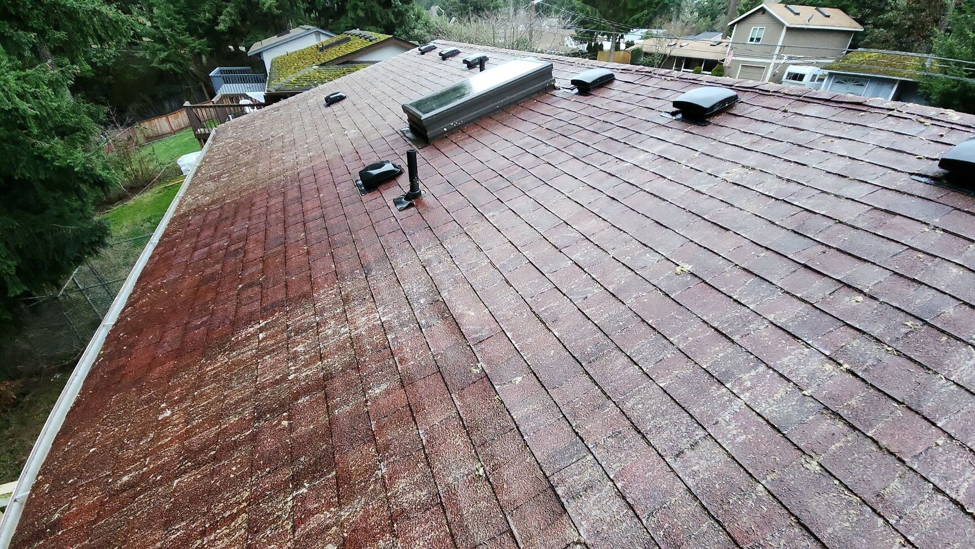 After Roof Cleaning Tacoma