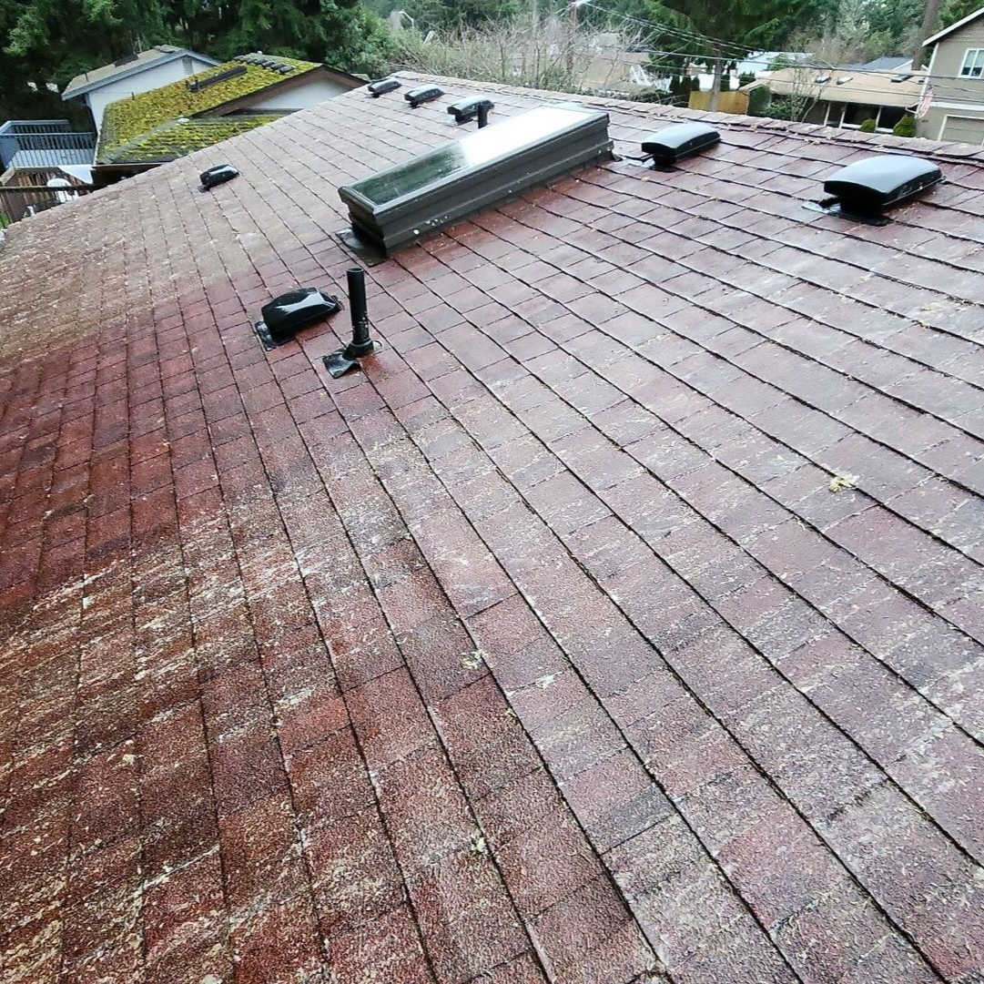 after roof cleaning newcastle wa