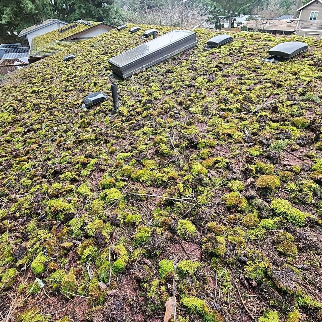 before asphalt roof cleaning
