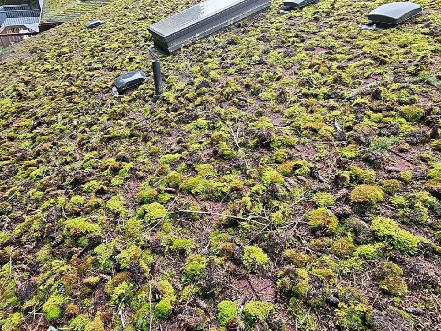 before roof cleaning newcastle wa
