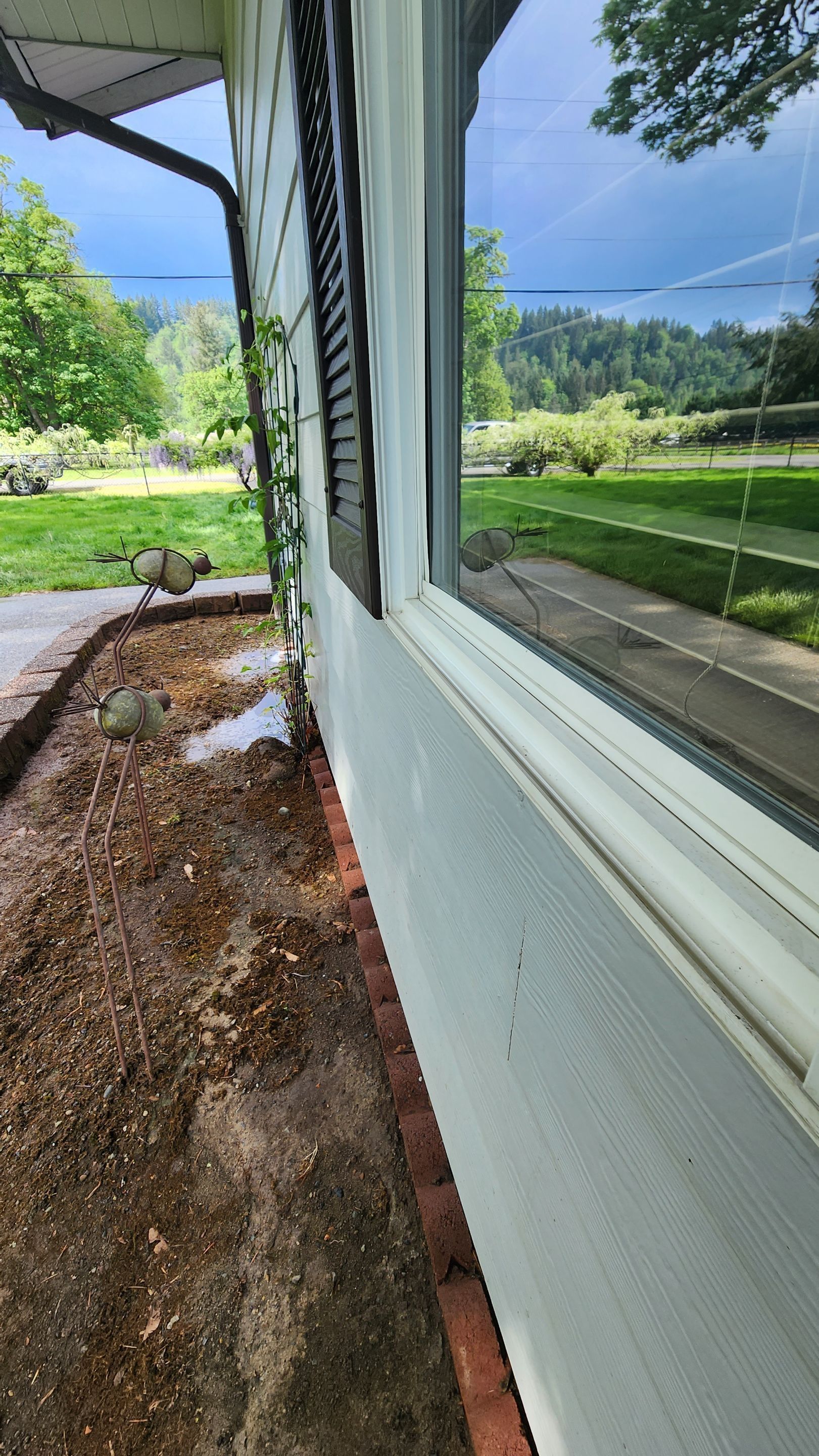 window-cleaning-tacoma-after