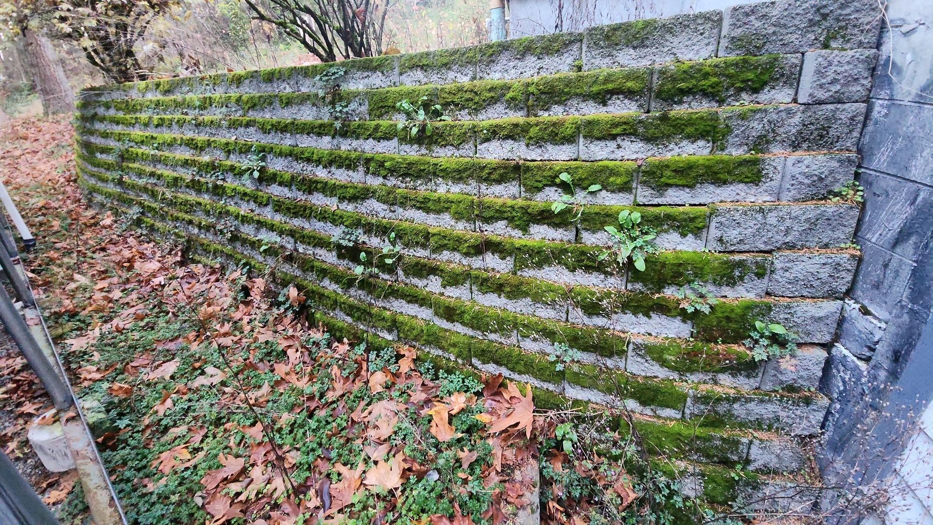 before brick concrete cleaning tacoma