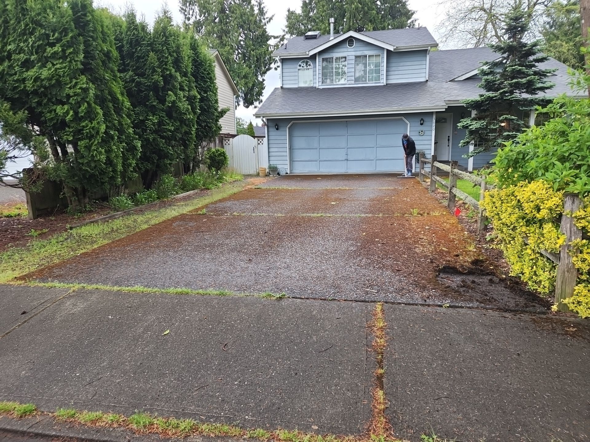 before driveway pressure washing tacoma