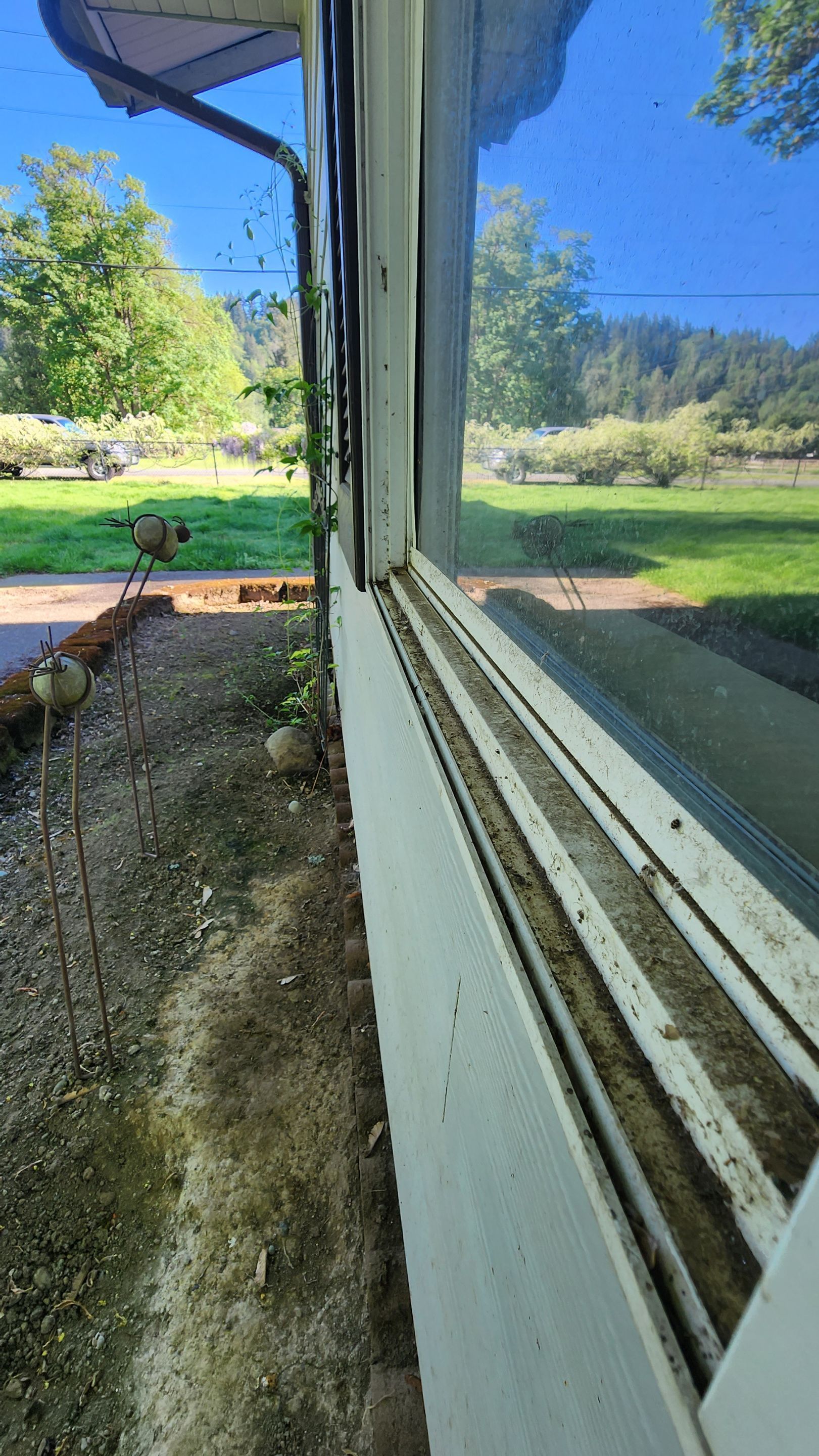 window-cleaning-tacoma-before