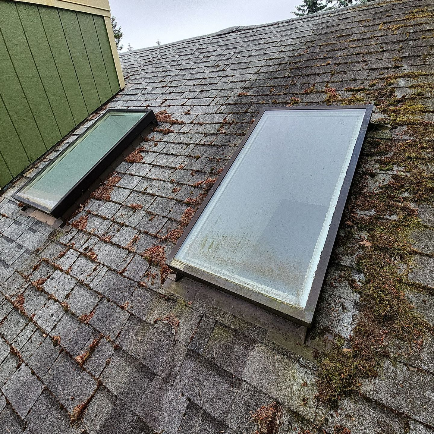 before roof cleaning and moss removal