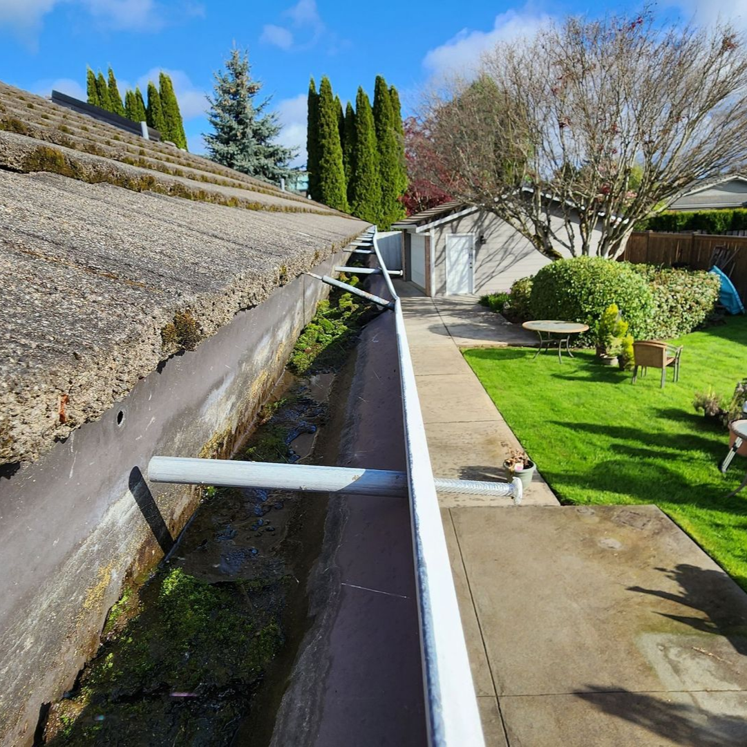 before gutter cleaning