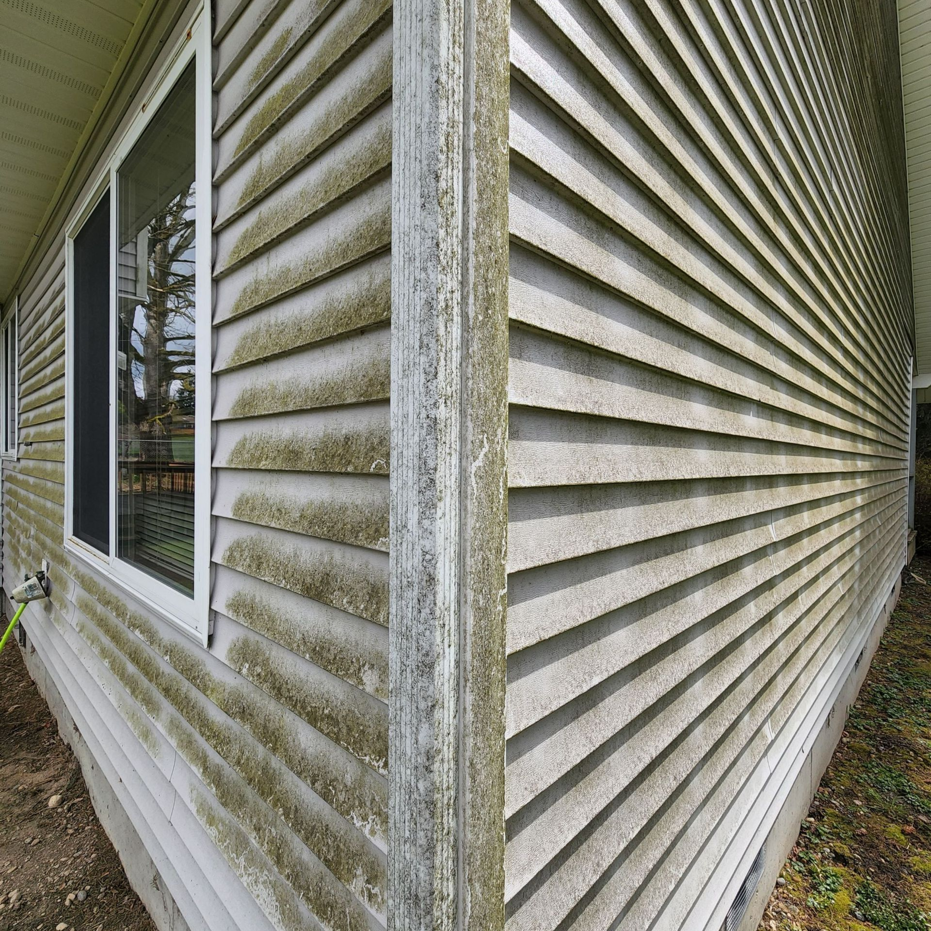 before siding soft wash tacoma