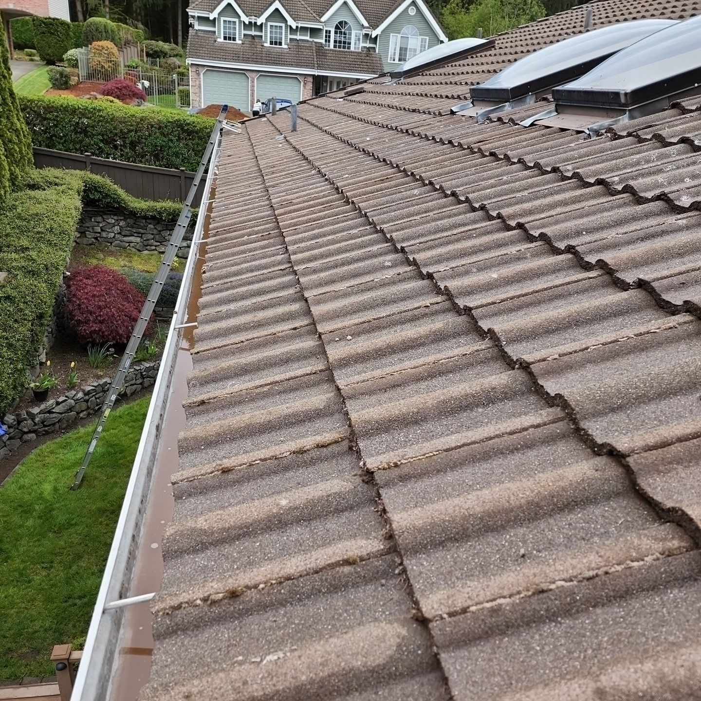 after tile roof cleaning fircrest