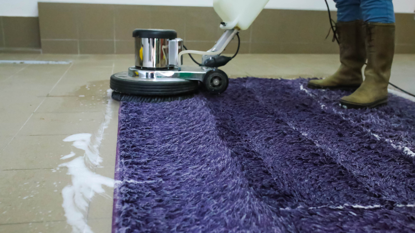 Person using a floor buffer to clean a purple rug on a tiled floor.