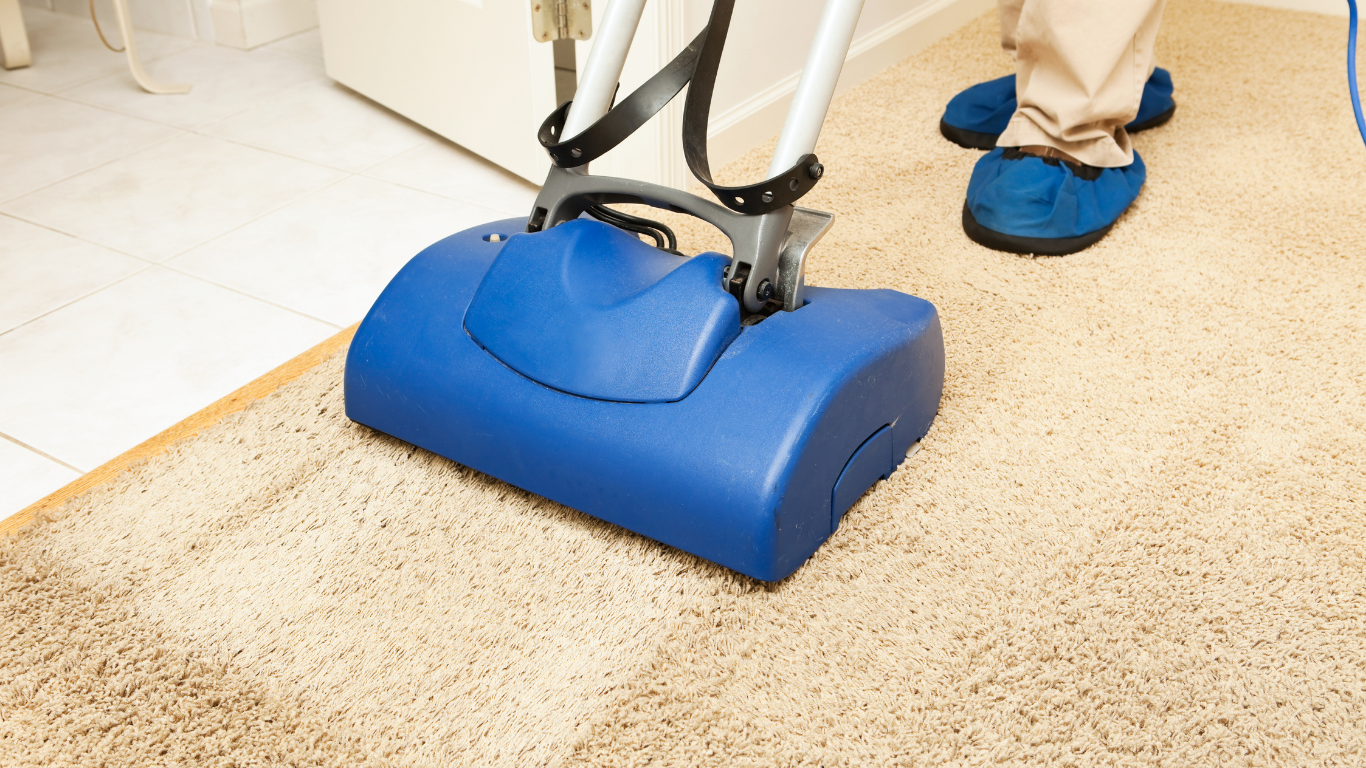Blue carpet cleaning machine on beige rug being used indoors.