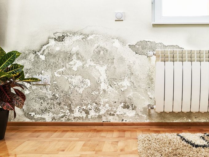 Peeling plaster wall beside a white radiator, wooden floor, and a potted plant in a room.