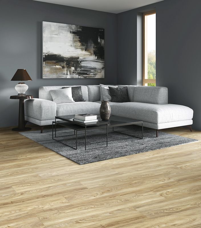 A Living Room With A Couch — Mid Coast Flooring & Blinds In Taree, NSW
