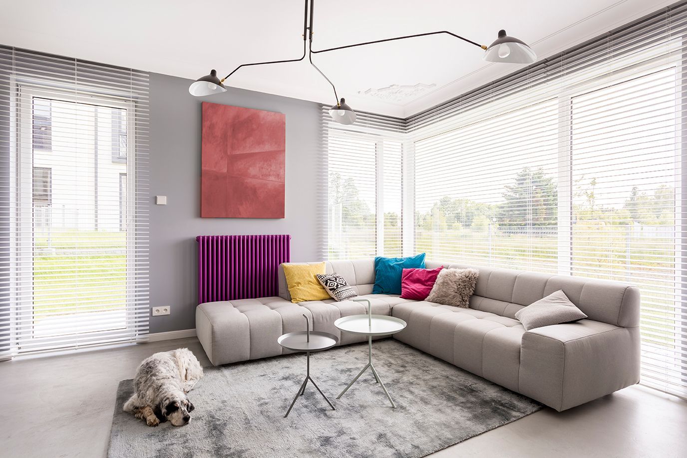 A Living Room with A Couch, Table, and Dog — Mid Coast Flooring & Blinds In Forster, NSW