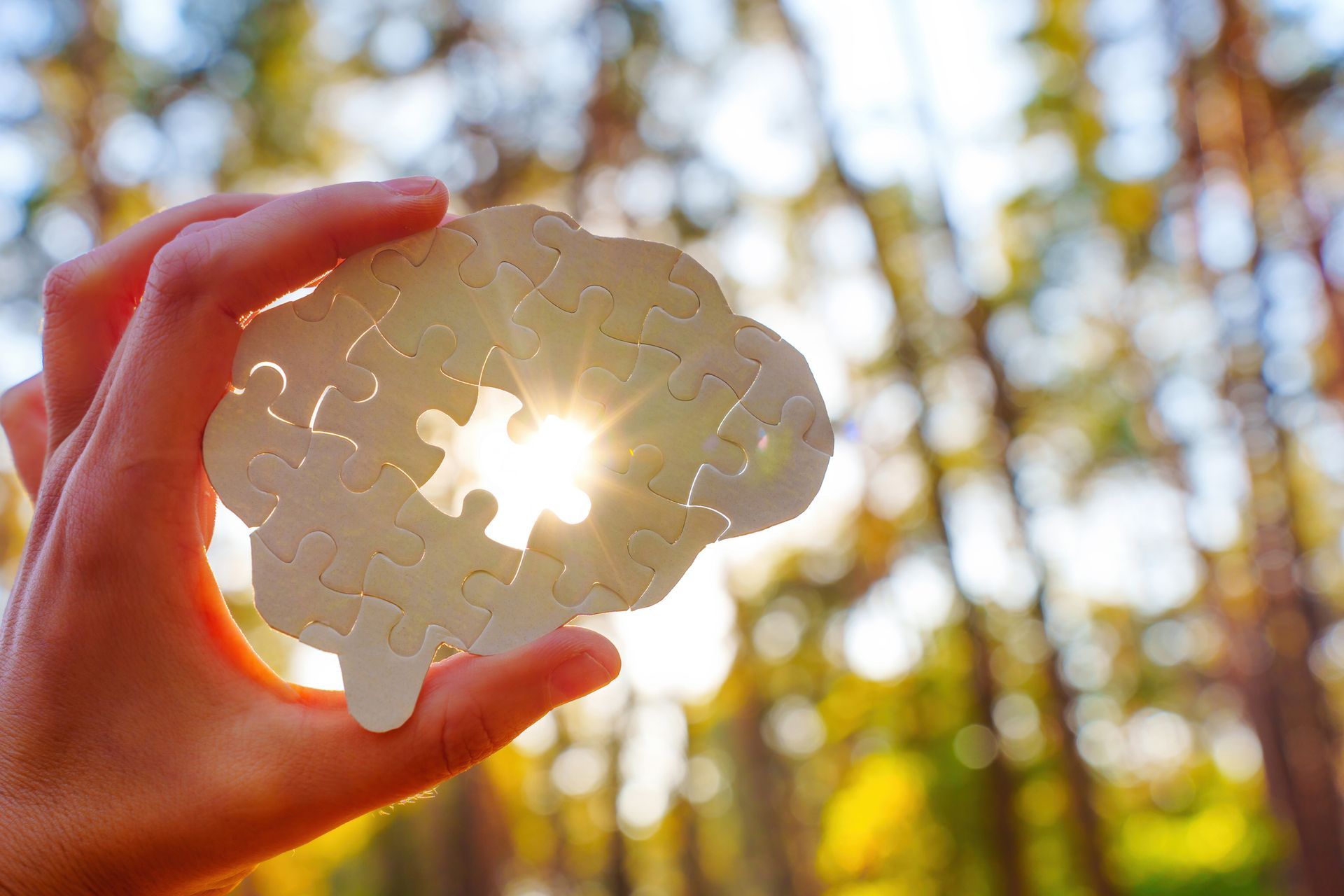 Una persona tiene in mano un pezzo di puzzle a forma di cervello.