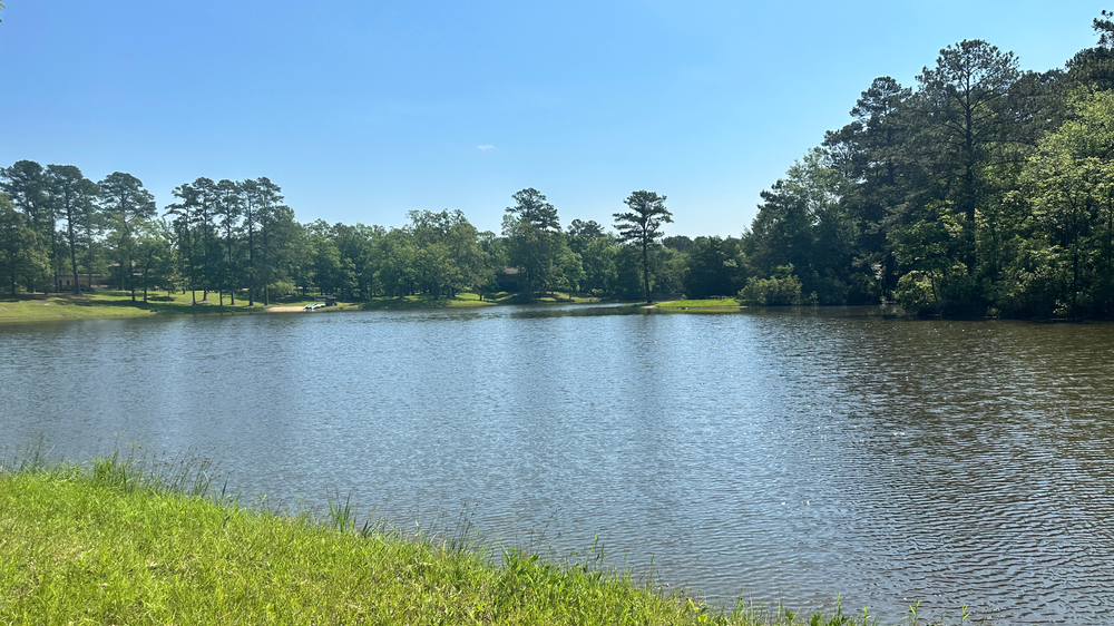 A large body of water surrounded by trees on a sunny day.
